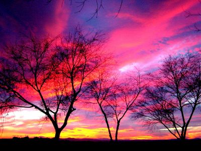 Atardecer incendiado de enero desde la punta de El Paseo del Norte.
26 de enero del 2003
Atardece y el cielo se enrojece. Sopecho que desde la punta del Cerro es el mejor sitio para ccontemplarlo. No me equivoco.
