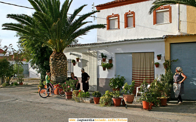 07 de Octubre 2006, son alrededor de las 18:30, hora de regreso de las tareas de la vendimia.
Palabras clave: 07 de Octubre 2006, Justo al llegar de la vendimia.