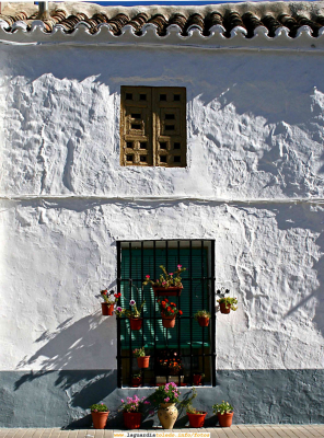 Guardianes de la luz (26-11-2006)
Poco a poco La Luz de La Mancha se va perdiendo, esa luz que caída del cielo, la cal la recogía devolviéndonosla a nuestras retinas realzada. Ahora que el ladríllo visto, que puede ser de todo menos vistoso, nos priva de esa claridad, se hace necesario destacar que todavía existen [b]"guardianes de esa luz"[/b] y sino vean esta fachada.... 
    
[img]http://www.laguardiatoledo.info/fotos/resources/logo_tupi_bn_w65_conbordes.jpg[/img]


Palabras clave: Guardianes de la luz