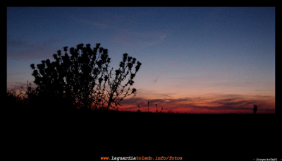Y el alba me sorprende por el camino viejo a las navas. 11 de julio de 2009
Palabras clave: Y el alba me sorprende por el camino viejo a las navas. 11 de julio de 2009