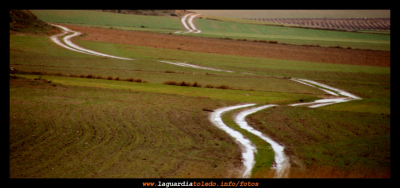 Asimetrías - 1 de febrero de 2009
Palabras clave: asímetrias