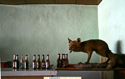 La Zorra  (6 de enero de 2007)
Desde la posición en que la véis nos ha estado observando a todos los que hemos pasado por el establecimiento público donde esta durante varias décadas. Fijaros si habrá visto cosas.... 

(Por decir alguna, al que escribe, le vió bailar por primera vez con una chica, era un baile de boda, tocaban los Lobos del Ritmo)

[img]http://www.laguardiatoledo.info/fotos/resources/logo_tupi_bn_w65_conbordes.jpg[/img]


Palabras clave: La Zorra