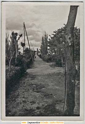 Calle del Paseo del Norte años 70. (Imágenes de ayer y de hoy)
Palabras clave: Calle del Paseo del Norte años 70. (Imágenes de ayer y de hoy)