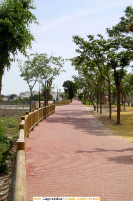 Calle del Paseo del Norte 2006. (Imágenes de ayer y de hoy)
Palabras clave: Calle del Paseo del Norte 2006. (Imágenes de ayer y de hoy)