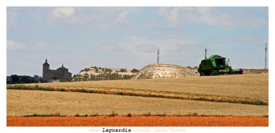 Campaña de siega 06-07, (01 de Julio 2007)
En la siega no solo se cosecha grano, también imágenes como esta.
Foto tomada con teleobjetivo trás varias horas de espera y con algo de suerte. 
  

[i][b]Empieza a ver a La Guardia de un modo diferente[/b][/i]
[img]http://www.laguardiatoledo.info/fotos/resources/logo_tupi_bn_w65_conbordes.jpg[/img]

Palabras clave: agricultura siega campaña