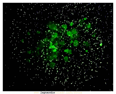 24 de Septiembre de 2007. No es un cúmulo globular de estrellas es la explosión un cohete en la pólvora de La Guardia.
Un cúmulo globular es una gran agrupación de estrellas viejas en forma de esfera gravitacionalmente ligadas. Normalmente orbitan en torno a una galaxia de manera similar a la de un satélite.


"Yo he visto cosas que vosotros no creeríais. Atacar naves en llamas más allá de Orión. He visto Rayos-C brillar en la oscuridad cerca de la Puerta de Tannhäuser. [b]Todos esos momentos se perderán en el tiempo como lágrimas en la lluvia. Es hora de morir.[/b]"

"I’ve seen things you people wouldn’t believe. Attack ships on fire off the shoulder of Orion. I watched C-beams glitter in the dark near the Tannhauser gate. [b]All those moments will be lost in time, like tears in rain. Time to die[/b]"

De la película Blade Runner basada el un libro de Philip K. Drick. Posiblemente la mejor película de ciencia ficción hecha nunca.
[url=http://www.blade-runner.it][color=navy][i]Para mas información sobre la película http://www.blade-runner.it[/i][/color][/url] 

Esta fotografía está dedicada a [b]Faustino Organero y a su Fundación La Hita[/b] por su labor de intentar acercar conocimiento del firmamento a las gentes de La Mancha.
No todos los hombre pueden presumir de haber convertido su sueño en realidad. Faustino un día soñó con construir un observatorio astrofísico en nuestra tierra, hoy es una realidad creada casi por completo con sus propias manos.

Sin duda Faustino sigue la senda del espíritu de Don Quijote.
  
Para los que lo quieran ver con sus propios ojos:
[url=http://www.lahita.arrakis.es/][color=navy][i] Observatorio Astronómico la Hita: http://www.lahita.arrakis.es/ [/i][/color][/url]


[i]Proyecto TuPI trabaja para que todos estos momentos no se pierdan en el tiempo como lágrimas en la lluvia[/i]
[i]Proyecto TuPI works for all those moments don't be lost in time like tears in rain[/i]
[img]http://www.laguardiatoledo.info/fotos/resources/logo_tupi_bn_w65_conbordes.jpg[/img]


[url=espacio.adicional] [/url]
Palabras clave: 24 de Septiembre de 2007. No es un cúmulo globular de estrellas la explosión es la explosión un cohete en la pólvora de La Guardia.