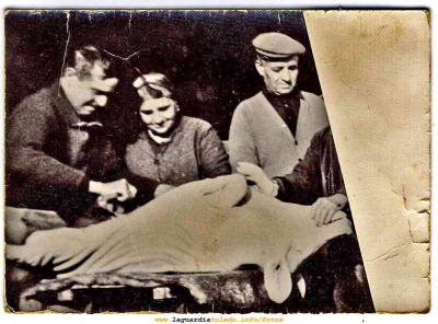 La matanza en 1945, Santos, Vicente y Maria Jesús Perea
Palabras clave: matanza