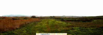 Vista de la Pradera
[url=espacio.adicional] [/url][i]
[color=teal][i]
Los eruditos la llamarían el [b]Valle de Josafá[/b] por su similitud con un valle del mismo nombre en Jerusalem, los guardiolos simplemente decimos La Pradera. En su día fue un sitio muy poular ya que es donde tenía lugar nuestra romería del Domingo de Resurrección que en aquellos días se celebraba el Sabádo.   

[/i][/color]
[url=espacio.adicional] [/url][/i]

Palabras clave: Panorámica