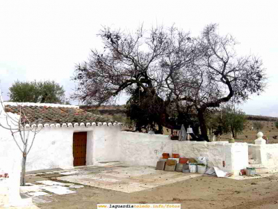 La Cueva de la Pradera de Pera
[url=espacio.adicional] [/url][i]
[color=teal]Esta cueva es un ejemplo muy bien conservado de las construcciones tradicioneles manchegas en el campo. Su función principal era y es la de acoger a las personan que labraban la tierra.

Hay que alabar el esfuerzo de sus propietarios por mantenerla en un estado de conservación tan bueno. 

[i][/i][/color]
[url=espacio.adicional] [/url][/i]
Palabras clave: Arquitectura
