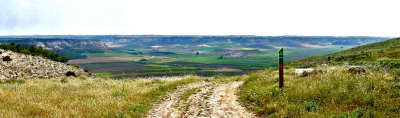 Punto de la ruta de Don Quijote donde el camino se descuelga hasta llegar al fondo del Valle de 'Barrancondo' (13-05-06)
[url=espacio.adicional] [/url]
[color=teal][i] Hemos seguido los pasos de la Ruta de Don Quijote a lo largo de nuestro municipio. Este punto que os mostramos es uno de los mas bellos.
[/i][/color]
[url=espacio.adicional] [/url]
Palabras clave: Barrancondo Ruta de Don Quijote