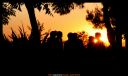 IMG_66721_lgt.jpg