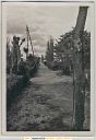 Nombre del archivo=Paseo_de_Norte_10_1970_lgt.jpg
Tamaño del archivo=123KiB
Dimensiones=800x1157
Fecha añadida=F d, Y Paseo_de_Norte_10_1970_lgt.jpg