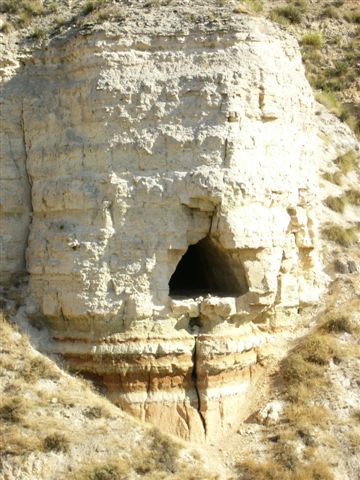 Foto de las Cuevas de Villapalomas
Dionisio Urbina, un investigador del que publicamos un artículo en [url=http://www.laguardiatoledo.info/fotos/displayimage.php?pos=-1229][color=navy][i][b]Artículo de Dionisio Urbina sobre las Cuevas de Villapalomas[/b][/i][/color][/url].[/b] y del cual podéis ver un extracto en el programa de Fiestas de 2006 [url=http://www.laguardiatoledo.info/fotos/displayimage.php?pos=-1312][color=navy][i][b]Artículo de Dionisio Urbina sobre las Cuevas de Villapalomas en el programa de fiestas de 2006[/b][/i][/color][/url].[/b] nos manda fotos de las Cuevas de Villapalomas. [b]Dichas cuevas son un legado histórico que debemos conservar y proteger y hago un llamamiento a las Instituciones para que se declaren Bien de Interés Cultural[/b]
