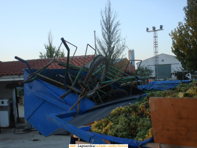 6 de Octubre de 2007. Utensilios de vendimia en la Cooperativa del Santo Niño
La vendimia ha cambiado mucho en los últimos años en lo que se refiere a utensilios utilizados. Antes las espuertas de uvas se portaban alzando a mano y ésto se ha sustituido por unas carretillas metálicas que hacen más llevadero el peso. También antes se descargaban al remolque a mano (a veces ayudado de una escalera o "potro" como decimos aquí) y ahora se hacen mediante una pala. Todo esto hace ahora más llevadero el ya por sí pesado trabajo de vendimiar.
[b]¡A ver si este año alguna cuadrilla de vendimiadores nos hace un reportaje de fotos y/o videos para publicarlo en la web![/b]
