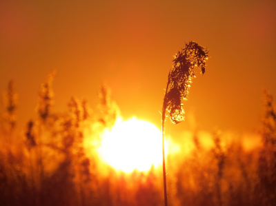 Puesta de sol desde la laguna artificial de La Laguna
