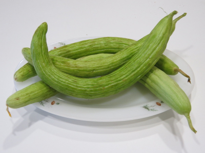 El cohombro. Productos de nuestra tierra
NUESTRA GASTRONOMIA: < Recetas de temporada
