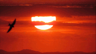 Las golondrinas y la puesta de sol desde el Paseo del Norte
