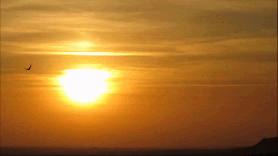 Las golondrinas y la puesta de sol desde camino del Cementerio
