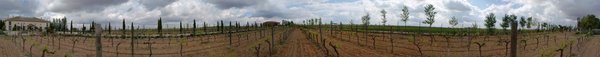 Panorámica de 360º de Bodegas Martúe. 20-04-2011
