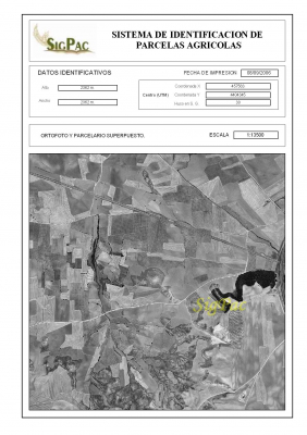 Vista del Cerro de la Atalaya hecho por fotografía aérea y de satélite
Este mapa está extraído de la web del Sigpac (Sistema de Información Geográfica de Parcelas Agrícolas) que se puede consultar en [url=http://www.jccm.es/agricul/sigpac.htm][color=navy][i][b]Web del Sigpac.[/b][/i][/color][/url].[/b]. [b]Se ruega hacer click para ver el mapa ampliado[/b]
Intenta localizar en él el propio cerro, la Autovía de Andalucía , la Carretera de Huerta y los cerros del vertedero.
[b]El Sigpac no es en color como Google Earth pero tenemos que recurrir a él porque muchas zonas del término municipal de La Guardia no están cubiertas todavía por Google Earth[/b]
