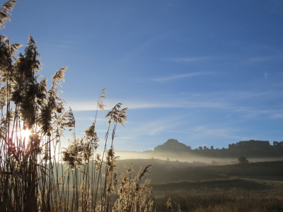 Amanecer
Amanecer con niebla desde La Laguna
Palabras clave: laguna niebla