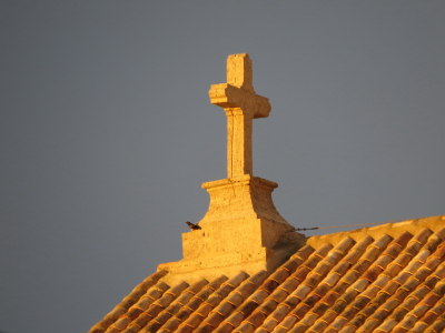 Crucero
Crucero de la Iglesia con estornino incluído al atardecer
Palabras clave: crucero iglesia atardecer