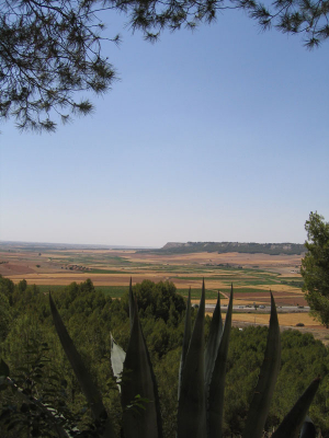 Foto del Valle del Cedrón desde el Cerro encontrada en la web de flickr
La foto original la puedes encontrar en [url=http://www.flickr.com/photos/wilmor/39612385/][color=navy][i][b]Foto del Valle del Cedrón desde el Cerro encontrada en flickr[/b][/i][/color][/url].[/b]
[b]La foto está tomada el 3 de Julio de 2005. Fijaos (o fijaros como decimos aquí) en el comentario que hace la persona que publica la foto relativa a las condiciones meteorológicas de esa época del año en nuestro pueblo. Seguro que haría un calor que pelaba[/b]

Para los que no lo sepan [url=http://www.flickr.com][color=navy][i][b]Flickr[/b][/i][/color][/url][/b] es uno de los mejores sitios web de organización de fotografías digitales.
Podéis encontrar más información sobre flickr en la wikipedia [url=http://es.wikipedia.org/wiki/Flickr][color=navy][i][b]Información sobre Flickr en la Wikipedia[/b][/i][/color][/url].[/b]
