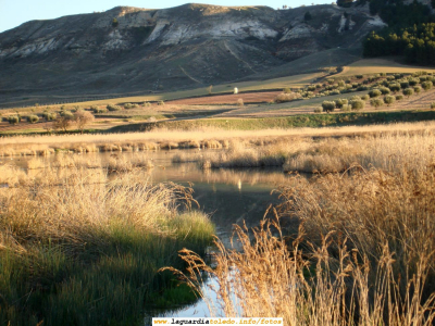 11 de Marzo de 2007. La Laguna con agua y patos.
Las lluvias del invierno han generado un humedal en La Laguna poblado de patos. Merece la pena darse un paseo por el entorno, ver de lejos a los patos y oirlos en la pequeña laguna que se ha formado.

