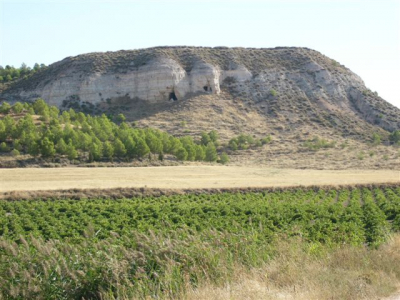 Foto de las Cuevas de Villapalomas
Dionisio Urbina, un investigador del que publicamos un artículo en [url=http://www.laguardiatoledo.info/fotos/displayimage.php?pos=-1229][color=navy][i][b]Artículo de Dionisio Urbina sobre las Cuevas de Villapalomas[/b][/i][/color][/url].[/b] y del cual podéis ver un extracto en el programa de Fiestas de 2006 [url=http://www.laguardiatoledo.info/fotos/displayimage.php?pos=-1312][color=navy][i][b]Artículo de Dionisio Urbina sobre las Cuevas de Villapalomas en el programa de fiestas de 2006[/b][/i][/color][/url].[/b] nos manda fotos de las Cuevas de Villapalomas. [b]Dichas cuevas son un legado histórico que debemos conservar y proteger y hago un llamamiento a las Instituciones para que se declaren Bien de Interés Cultural[/b]
