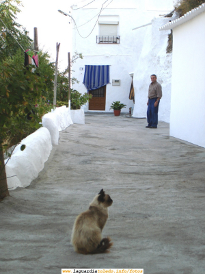 Foto de la calle Cuesta de la Fuente. 2 de Septiembre de 2006. En primer plano un gato del vecindario y de fondo un vecino de la calle.
