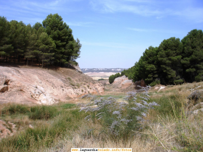 Vista panorámica de Perejón. 9 de Septiembre de 2006
A pesar de la intervención humana en esta zona, todavía podemos hacer instantáneas de Perejón en las que no se nota su acción destructora. [b]Creo que que merece la pena la conservación de esta zona de La Guardia[/b].
Podéis ver otra foto de Perejón, que por cierto es una de las más vistas de la web por su belleza en [url=http://www.laguardiatoledo.info/fotos/displayimage.php?pos=-4][i][color=red][b]Río Rojo en Perejón.[/b][/i][/color][/url].[/b]

