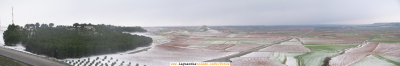 26 de Enero de 2007. Vistas desde el Paseo del Norte después de la nevada
Gracias a Javier Santiago López por hacernos llegar estas fotos de La Guardia nevada. A los integrantes de Proyecto Tupi que vivimos en Madrid durante la semana nos alegra que haya guardiolos que colaboren en hacernos llegar fotos de La Guardia en días en los que nos es físicamente imposible dejar constancia de eventos que ocurren en nuestro pueblo. Desde aquí animaros a que seáis cada vez más los guardiolos que os integréis como colaboradores en este proyecto.
[b]Hacer click para ver la foto con más detalle[/b]
