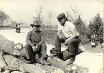 Merienda en el campo
