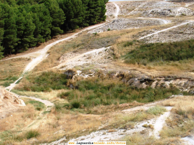 Vista de la entrada de Perejón desde La Guardia .9 de Septiembre de 2006
Me levanto temprano para hacer un reportaje fotográfico de Perejón y ya de paso recordar mi época de infancia en la que los niños del "Cotano" teníamos esta zona de La Guardia para interrelacionarnos con la Naturaleza en su estado puro. Me encuentro este panorama desolador...
