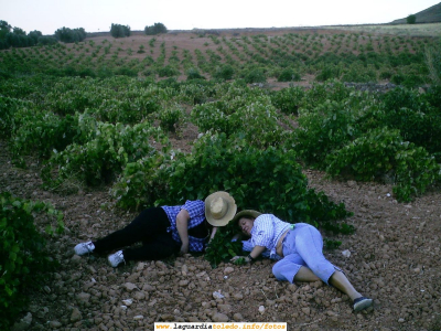 La siesta después del guiso en la vendimia

