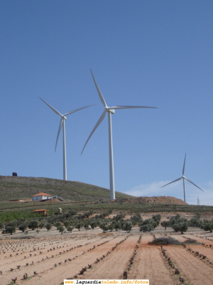 Los nuevos molinos de viento de La Mancha.
Estos molinos de viento están en la A-4 entorno al kilómetro 120 antes de llegar a Madridejos en dirección sur. Como puede verse, los [url=http://www.laguardiatoledo.info/fotos/displayimage.php?pos=-3600][color=blue][b][i]ancestrales molinos de viento[/color][/i][/b][/url] de La Mancha que servían para moler el grano y producir harina están sustituyéndose por molinos de viento de última generación que sirven para generar energía eléctrica.
Según la Wikipedia, Un molino es un artefacto o máquina que sirve para moler. Su origen es antiguo.
Por extensión, el término molino se aplica vulgarmente a los mecanismos que utilizan la fuerza del viento para mover otros artefactos, tales como una bomba hidráulica o un generador eléctrico. Este es caso de los molinos de la imágen.
La finalidad tanto de unos como de otros es usar la fuerza del viento para generar productos de primera necesidad (la harina y la energía eléctrica)
Todavía más cerca de La Guardia, en el Romeral tenemos más ejemplos de molinos nuevos:
 [url=http://www.laguardiatoledo.info/fotos/displayimage.php?pos=-8][color=blue][b][i]Molinos de viento de El Romeral I[/color][/i][/b][/url]
 [url=http://www.laguardiatoledo.info/fotos/displayimage.php?pos=-2259][color=blue][b][i]Molinos de viento de El Romeral II[/color][/i][/b][/url]
[url=http://www.redajo.com/redajoblog/?p=623][color=blue][b][i]El Molino de la Unión de Camuñas (Toledo) gentileza de www.erasemipueblo.com[/color][/i][/b][/url]


