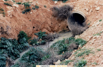 Boca de salida del alcantarillado al Barranco Norte. Año 1987
Foto extraída del libro "Diagnóstico de salud aproximado del municipio de La Guardia (Toledo), escrito en Abril de 1987 por Consuelo Picazo Azcárate (farmacéutica de La Guardia) y Rosalía Fernández Patier
[b]Como toque de atención decir que este libro, que en un futuro publicaremos en su totalidad, es el único ejemplar de la Biblioteca  Municipal de La Guardia que habla sobre nuestro pueblo. Sin embargo podemos encontrar en ella otros muchos que hablan de Tembleque, Lillo, Dosbarrios, etc. ¿Por qué?[/b]
