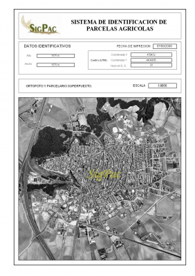 Panorámica del pueblo desde el aire, hecho por fotografía aérea y de satélite
Este mapa está extraído de la web del Sigpac (Sistema de Información Geográfica de Parcelas Agrícolas) que se puede consultar en [url=http://www.jccm.es/agricul/sigpac.htm][color=navy][i][b]Web del Sigpac.[/b][/i][/color][/url].[/b]. [b]Se ruega hacer click para ver el mapa ampliado[/b]

