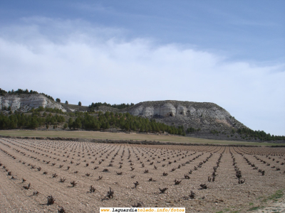 6 de Abril de 2008. Las cuevas de Villapalomas
Aprovechando que hago una visita a los parajes por los cuales transcurre la joya cinematográfica "Dulcinea", muchas de cuyas escenas están grabadas en la zona de Barrancondo, tomo esta instantánea de las Cuevas de Villapalomas. Pronto veréis imágenes de dicha película
[url=http://laguardiatoledo.info/fotos/thumbnails.php?album=search&type=full&search=villapalomas][color=blue][b][i]Más fotos de las Cuevas de Villapalomas[/color][/i][/b][/url]

