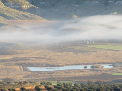 La Laguna
La laguna artificial recientemente creada en la zona de La Laguna con su caseta para el avistamiento de aves
