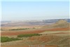 campo-guardiolo-detras-verderas.swf