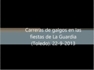 carreras-galgos-normal-camara-lenta.mp4