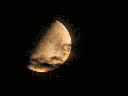 final.gif
