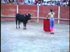 lgt_1995_toros_mujer_torero_estoque.mp4
