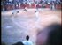 lgt_1995_toros_suelta_vaquilla_saltadora.mp4