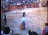 lgt_1995_toros_vaquilla_pascualin.mp4