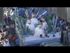 lgt_2003-carroza-damas-1.mp4