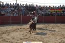 lgt_2005_toros_n2.jpg