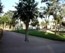 lgt_2006_paseo_norte_1.mp4