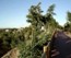 lgt_2006_paseo_norte_y_valle_1.mp4